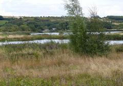 Middleton Lakes RSPB reserve