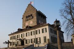 Castle Uster in winter