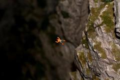 person base jumping off a cliff