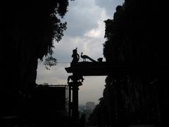 Peacock in Silhouette at Batu Caves