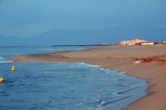 Le Barcarès beach with clear blue skies and people enjoying the sandy shoreline