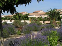 anlage bei Le Barcarès with a clear sky and green landscape