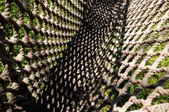 Rope Bridge at Nashville Zoo