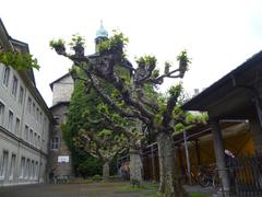 Solothurn historic cityscape with Aare River