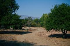 Arroyo Seco river in East Los Angeles