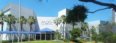 Jacksonville Florida Museum of Science and History panoramic view