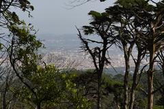 Panoramic view of Pena Park with lush greenery and distant mountains