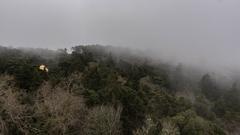 Pena Palace in fog