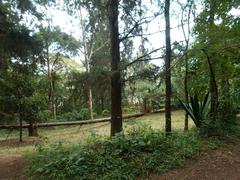 Nairobi Arboretum Park