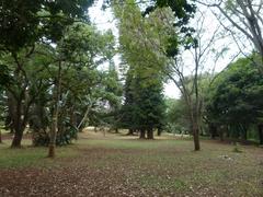 Nairobi Arboretum Park