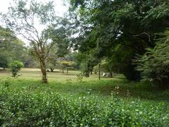 Nairobi Arboretum Park shaded walkway