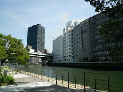 Nakanoshima Island skyline view of modern buildings and lush greenery