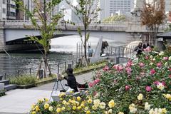 aerial view of Nakanoshima island