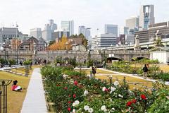 Aerial view of Nakanoshima island covered with greenery and surrounding water