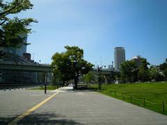 Nakanoshima island with skyscrapers in the background