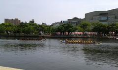 Dragon boat racing in China