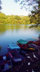 Scenic view of Naukuchiyatal Lake with sky, mountains, ducks, and a boat in Nainital, Uttarakhand