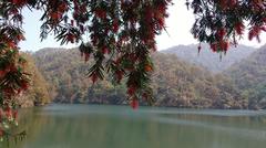 Scenic beauty of Naukuchiatal Lake and surrounding mountains