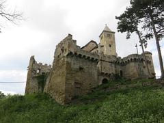 Burg Liechtenstein