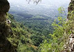 Newlands Forest and Cape Town suburbs viewed from Table Mountain