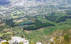 Newlands Forest from Devils Peak in Cape Town