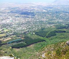 View of Newlands Forest from Devils Peak in Cape Town