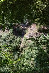 Via Fabula hiking game in Vaud, Switzerland with participants walking alongside river Nozon