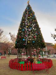 Christmas tree in Noritake Garden