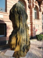 Sandstone with desert rose crystals exhibit outside the Naturmuseum Senckenberg