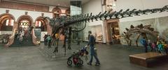 dinosaur skeleton in museum exhibit