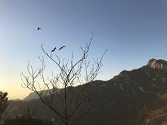 Autumn view from Bukhansan National Park