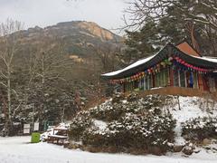 Bukhansan Temple at the base of Bukhansan Mountain