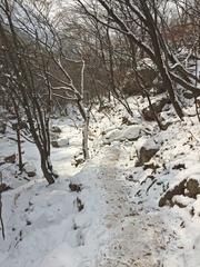 Bukhansan National Park trail