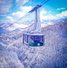 Winter Ober Gatlinburg tram