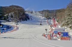 Ober Gatlinburg Ski School resort view