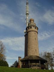 Aussichtsturm Merkur near Baden-Baden