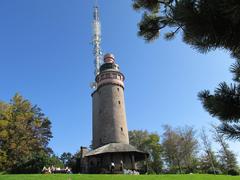 Schwarzwald Merkurturm with surrounding forest