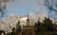 Berg Merkur in Baden-Baden with lush greenery and clear sky