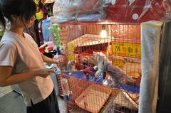 cats for sale at Raohe Street Night Market