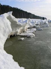 Dutchman's cap near Klaipėda in winter