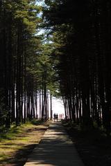 trail leading to Olando kepurė