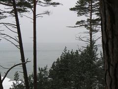 View of the Baltic Sea from Olando Kepurė Hill in February