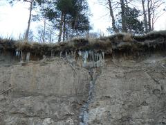 Dutchman's cap near Karklė during New Year