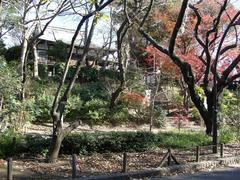 Tosho-Gu shrine in Ueno Park, Tokyo