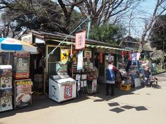 Ueno Park cherry blossoms and Toshogu Shrine