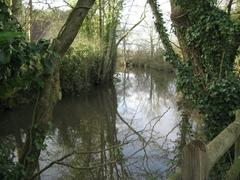 Moat of Packwood Hall