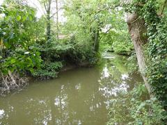 Moat to Packwood Hall