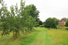 Orchard at Packwood House