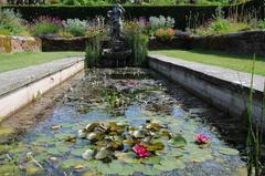 Lily pond at Packwood House