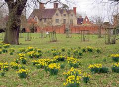 Looking across the orchard to Packwood House